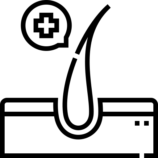 Santé Capillaire